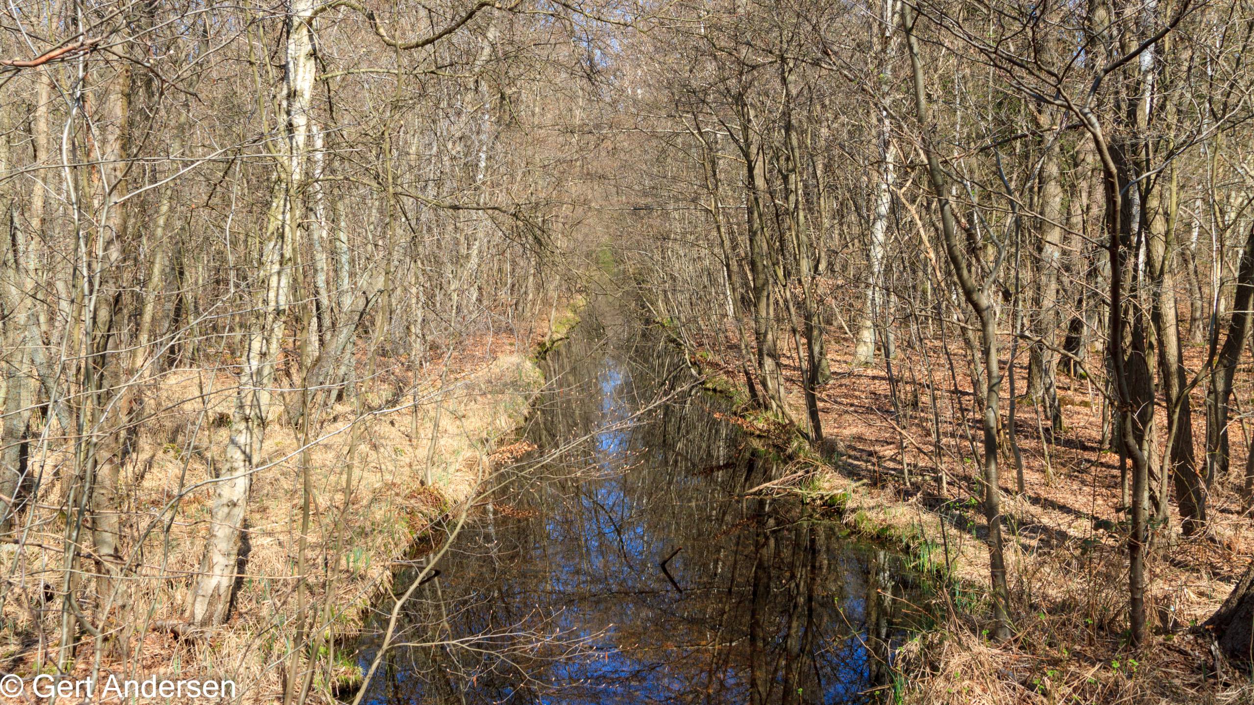 Lyngby Sø (21 of 37) compressed